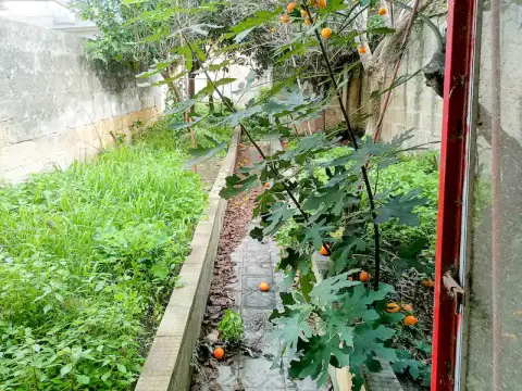 Appartamenti in vendita a Lizzanello — foto 4