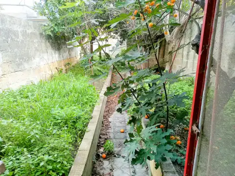 Appartamenti in vendita a Lizzanello — foto 6