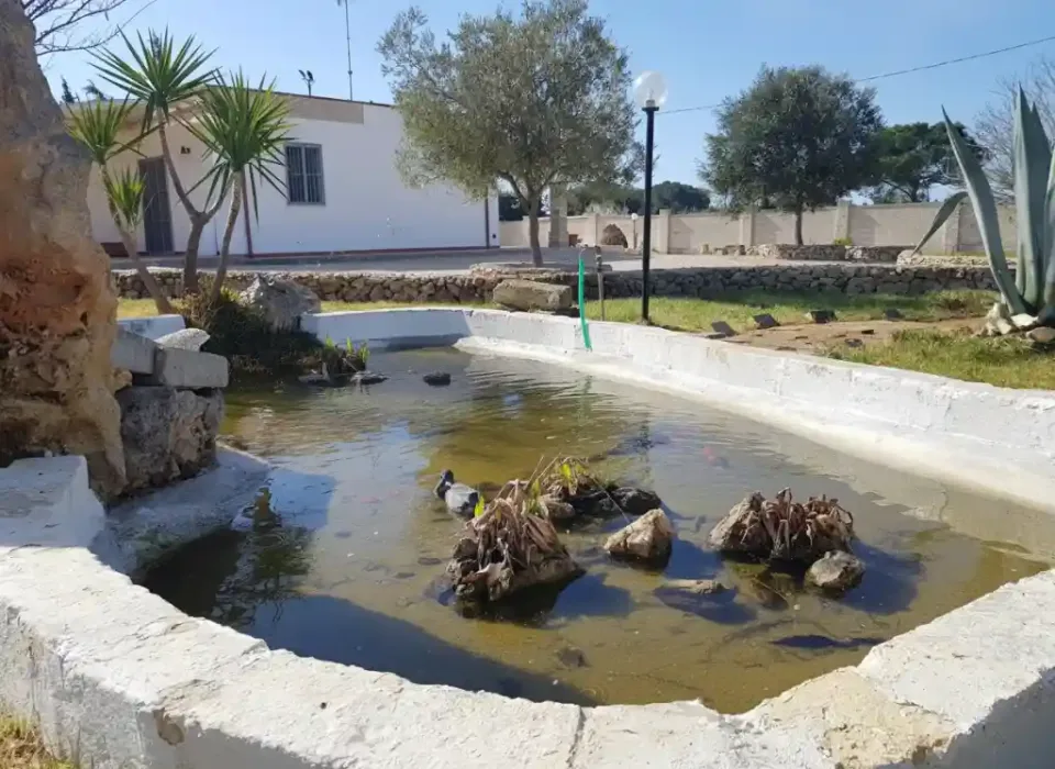 Villa in vendita a Nardò — foto 8