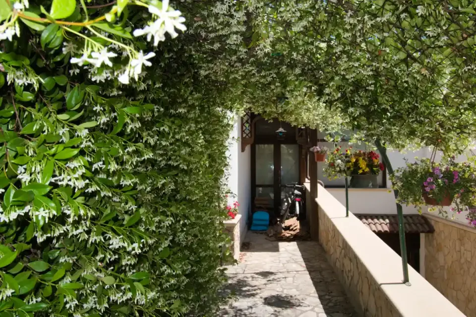 Ville in Vendita a Lecce e Provincia in vendita a Galatone — foto 18